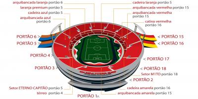 Bản đồ của lực thế giới São Paulo sân vận động