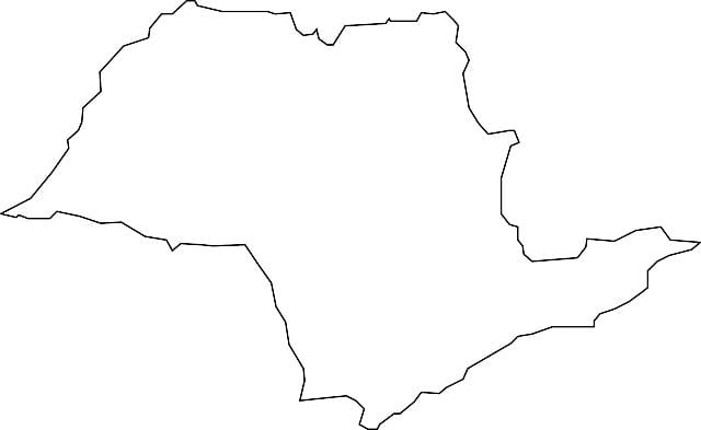 Bản đồ của São Paulo véc tơ